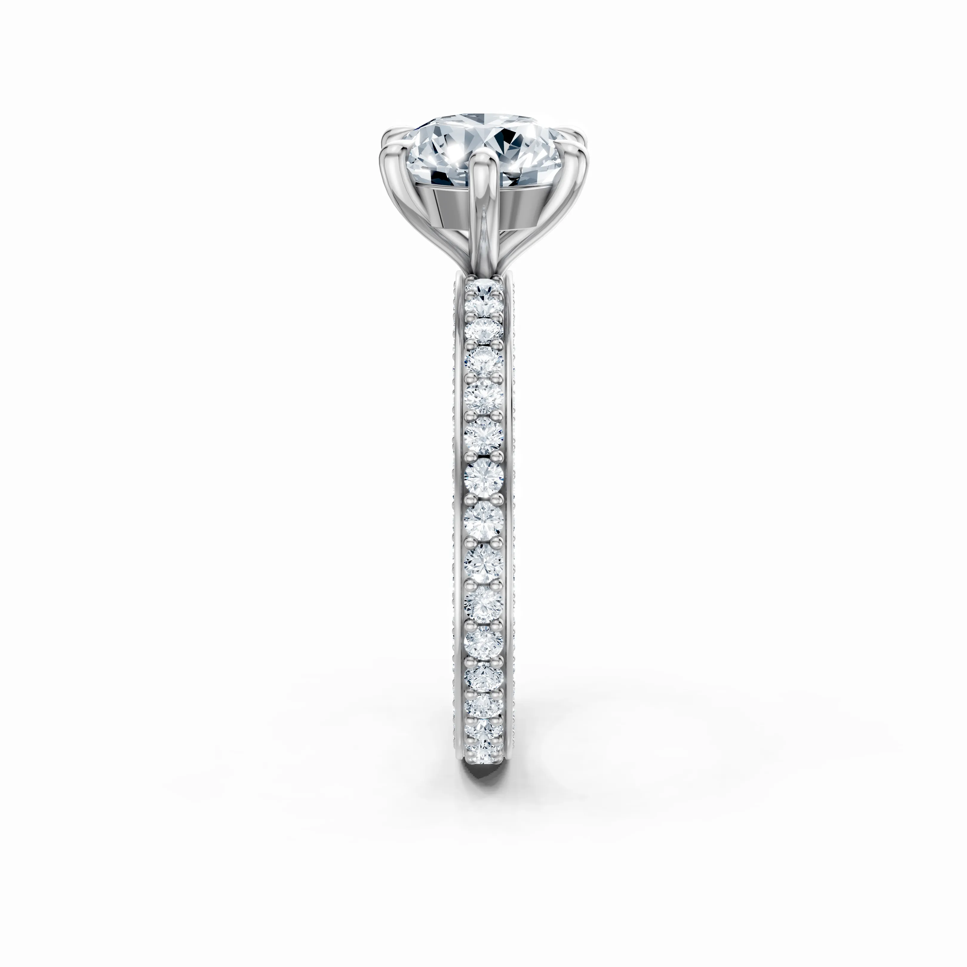 the solen ring - gallery - 3